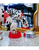 Supreme Diamond Plate Dog Bowl