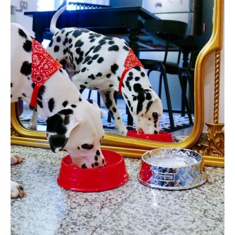 Supreme Diamond Plate Dog Bowl