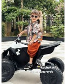 Tesla Cyberquad ATV 24 volt kid