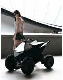 Tesla Cyberquad ATV 24 volt kid
