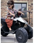 Tesla Cyberquad ATV 24 volt kid