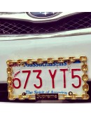 Supreme Chain License Plate Frame gold silver