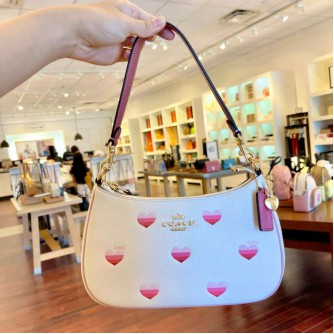 Coach Teri 24 Valentine Love HandBag