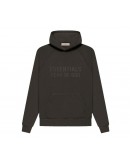 Fear of God Essentials Hoodie FW22