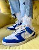 Nike SB Dunk Fly Streetwear ‘ Gardenia ’