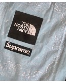 Supreme x TheNorthFace Bandana Tee