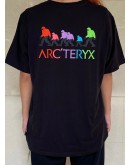 Arcteryx x BigFoot SV Polychrome Shirt discount sales