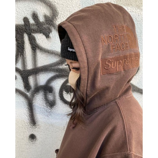 Supreme x The North Face